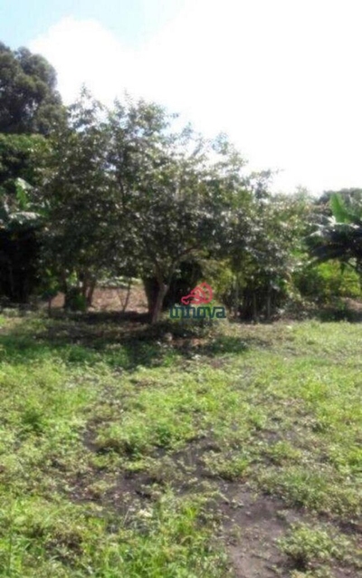 Terreno, 6000 m² - Foto 4