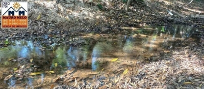 Fazenda-Sítio-Chácara, 9000 m² - Foto 3