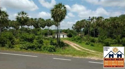 Sítio, 5 quartos, 82 hectares - Foto 1