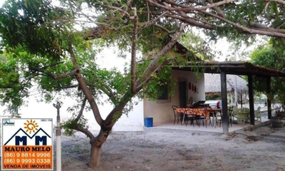 Sítio, 2 quartos, 5000 m² - Foto 2