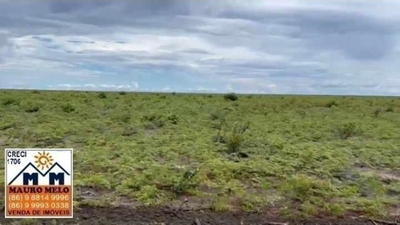 Fazenda-Sítio-Chácara, 42 hectares - Foto 5