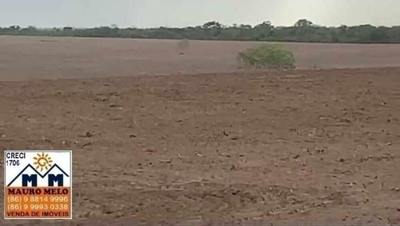 Fazenda-Sítio-Chácara, 53 hectares - Foto 5