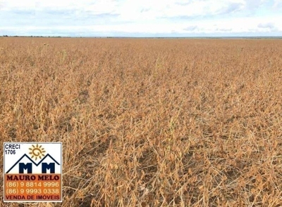 Fazenda-Sítio-Chácara, 570 hectares - Foto 4