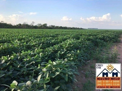 Fazenda-Sítio-Chácara, 570 hectares - Foto 1