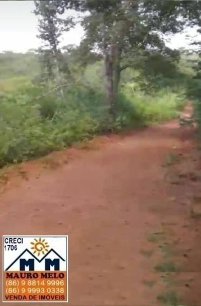 Fazenda-Sítio-Chácara, 21 hectares - Foto 5