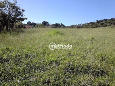 Terreno, 3 hectares - Foto 2