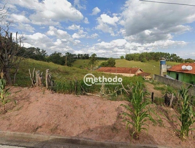Terreno, 11 hectares - Foto 4