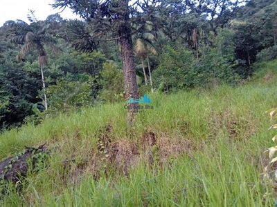 Terreno, 3 hectares - Foto 2