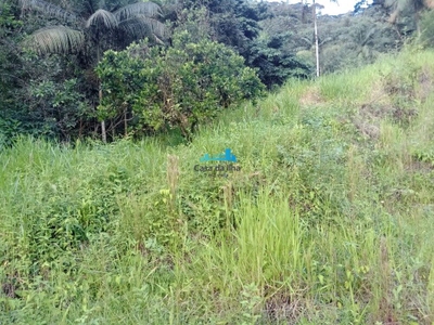 Terreno, 3 hectares - Foto 1