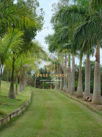 Chácara, 5 quartos, 2 hectares - Foto 1