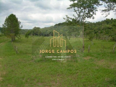 Terreno, 19 hectares - Foto 2