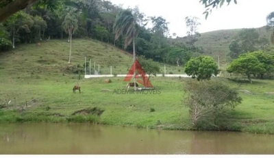 Sítio, 2 quartos, 2 hectares - Foto 2