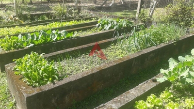 Chácara, 2 quartos, 4500 m² - Foto 4