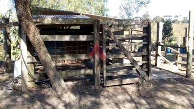 Sítio, 2 quartos, 3 hectares - Foto 2