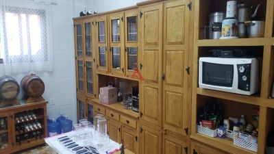 Chácara, 4 quartos, 4 hectares - Foto 4