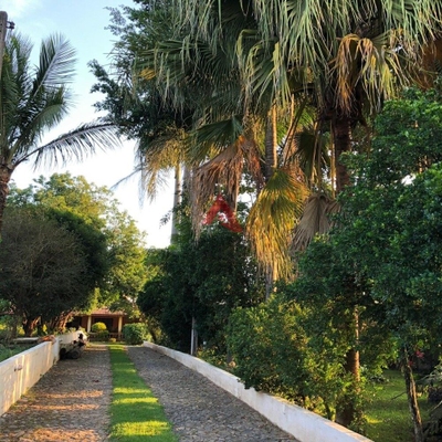 Sítio, 5 quartos, 5000 m² - Foto 2