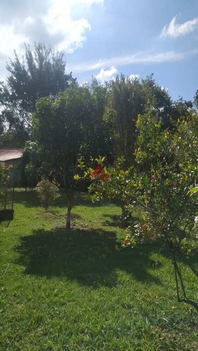 Terreno, 1750 m² - Foto 5