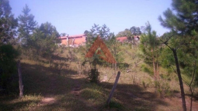 Terreno, 2730 m² - Foto 4