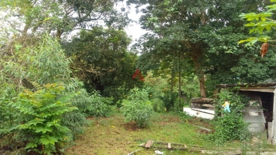 Chácara, 3 quartos, 1683 m² - Foto 4