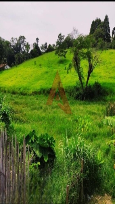 Terreno, 2 hectares - Foto 4