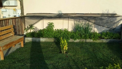 Casa, 3 quartos, 190 m² - Foto 3