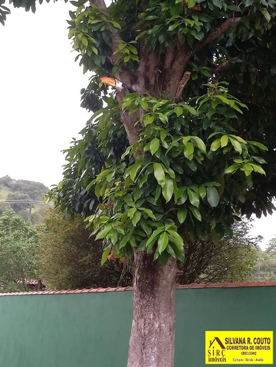 Chácara, 6 quartos, 1200 m² - Foto 2