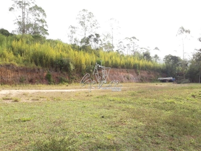 Terreno, 3 hectares - Foto 5