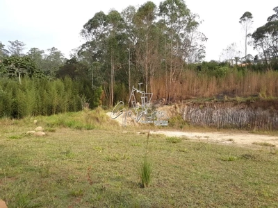 Terreno, 3 hectares - Foto 3