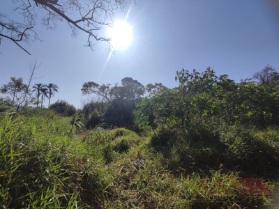 Terreno, 2 hectares - Foto 3