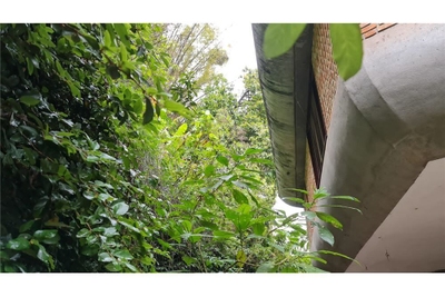 Casa, 4 quartos - Foto 2