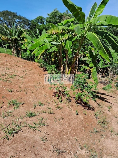 Casa, 2 quartos, 160 m² - Foto 5