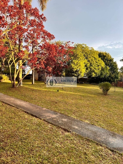 Chácara, 4 quartos, 3500 m² - Foto 1