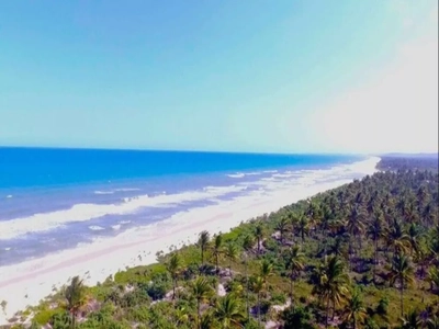 Terreno, 275000 m² - Foto 3