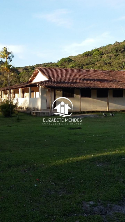 Sítio, 3 quartos, 700 m² - Foto 4