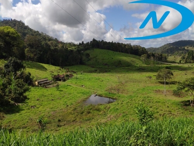 Fazenda, 130 m² - Foto 3