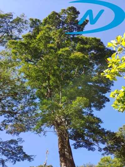 Fazenda, 90 m² - Foto 4