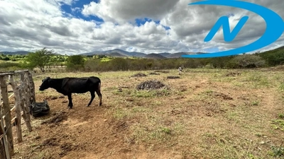 Sítio, 2 quartos - Foto 5