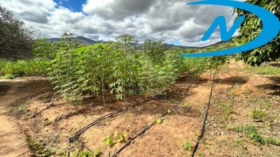 Sítio, 2 quartos - Foto 4