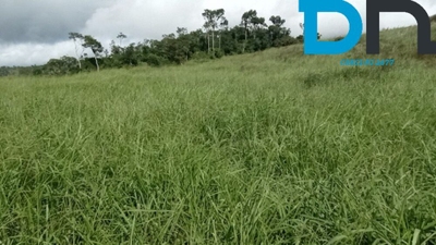 Fazenda, 1500 m² - Foto 3