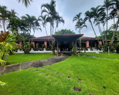 Sítio, 6 quartos, 10000 m² - Foto 4