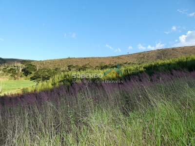 Fazenda-Sítio-Chácara, 68 hectares - Foto 5