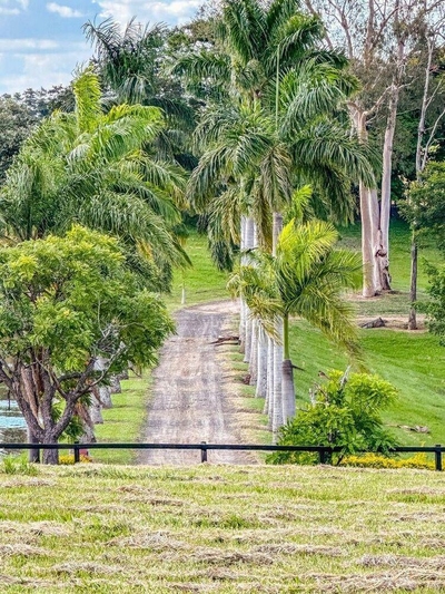 Fazenda, 44 hectares - Foto 1