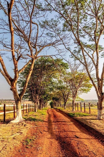 Fazenda, 94 hectares - Foto 2