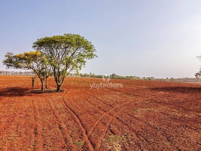 Fazenda, 94 hectares - Foto 4