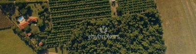 Fazenda, 24 hectares - Foto 1