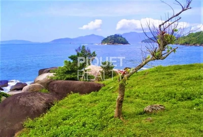 Terreno, 500 hectares - Foto 1