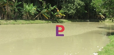 Sítio, 3 quartos, 6 hectares - Foto 4