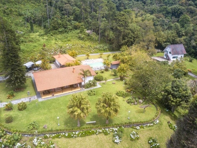 Chácara, 10 hectares - Foto 4