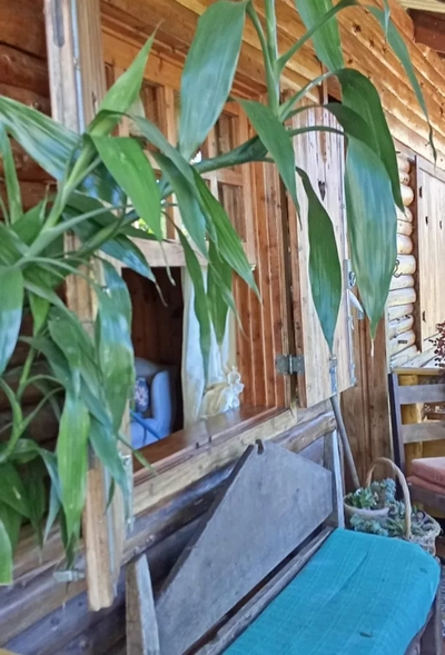 Casa de Condomínio, 2 quartos - Foto 4