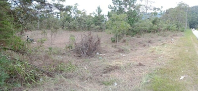 Terreno, 5 hectares - Foto 2